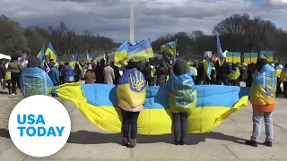 Pro-Ukraine protests continue amid ongoing Russian invasion | USA TODAY