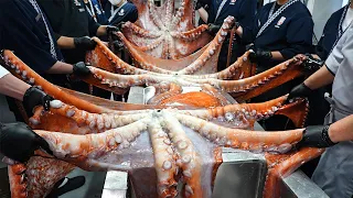 Amazing Giant Octopus! Sushi made of huge octopus and yellowtail fish. / KoreanStreetFood