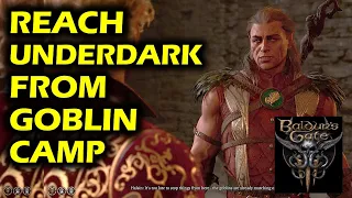 How to Reach Underdark from Goblin Camp (Temple of Selune) | Baldur's Gate 3