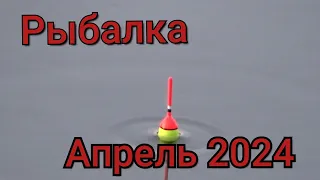 Рыбалка на поплавок 25 апреля 2024 г.Четыре дублета подряд!Дикий жор карася на удочку на лесной реке