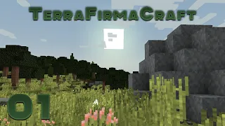 #1 Первобытное выживание Minecraft | TerraFirmaCraft | Начало