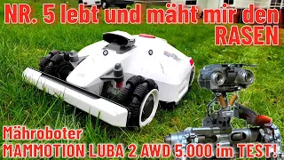 Nr. 5 lebt und mäht mir den Rasen: Mammotion LUBA 2 AWD 5000 im Test!