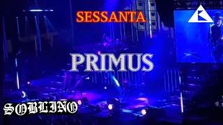 SESSANTA by PRIMUS (live) Forest Hill Stadium 5/4/24 (no copyright infringement attended)