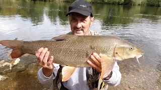 A DAYS BARBEL FISHING ON THE MID TRENT - VIDEO 61