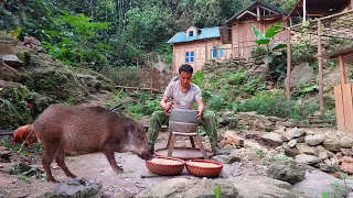 Grind cornmeal with a primitive stone mortar. Raising wild boar - 365 days alone in the forest