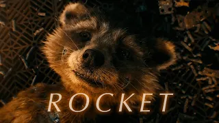 Rocket Raccoon | We'll All Fly Away Together (Guardians of the Galaxy Vol. 3)