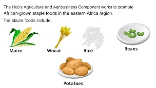 The Hub fosters agriculture and agribusiness in the eastern Africa region