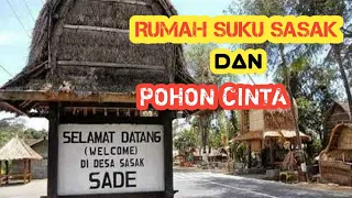 DESA SADE TEMPAT RUMAH ADAT SUKU SASAK DAN POHON CINTA