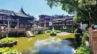 Shanghai Yuyuan Garden Weekday Tour-Still People Mountain People Sea|Enjoying Chinese Tea&Pingtan