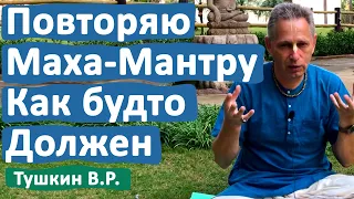 ПОВТОРЯЮ МАХА-МАНТРУ КАК БУДТО ДОЛЖЕН • ВАСИЛИЙ ТУШКИН