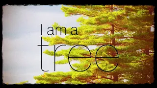 I Am A Tree -- by Nancy Kopman