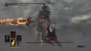 DARK SOULS 3, Sellsword Twinblades vs Nameless King.