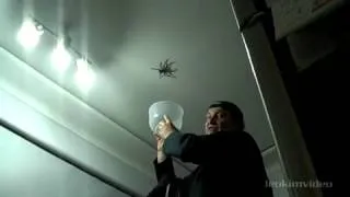Папа! Поймай паука!