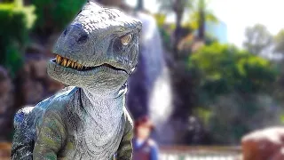 Raptor Encounter Meeting Blue in Jurassic World, Universal Studios Hollywood, 2021