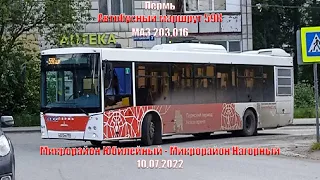 Пермь | Автобусный маршрут 59К | МАЗ 203.016 | М/р Юбилейный - М/р Нагорный | 10.07.2022