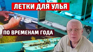 Леток на улей Всё об ульевых летках по временам года