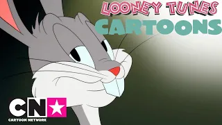 Un coniglio inimitabile | Looney Tunes Cartoons | Cartoon Network Italia