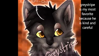 My Top 5 Favorite Warrior Cats