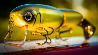 Summer Swimbait Fishing - Everything You Need To Know!