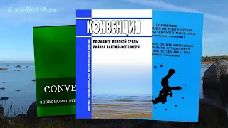 "Команда 47" и природный заказник "Кургальский".