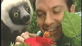 Zoboomafoo - Les créatures vertes - Grandis vite, Zoboo