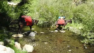 Goat Packing Bear Basin Granite Lake Loop Trinity Alps. Wilderness