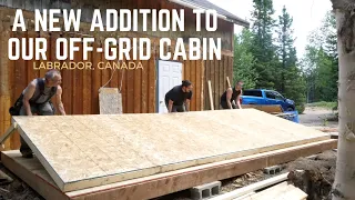 Tearing Down Old Ant Infested Part of our Off-Grid Cabin || Building New from the Ground Up [PART 1]