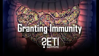 Big Picture Science: Granting Immunity - Feb 15, 2021