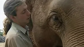 How Smart are Elephants? | The Zoo Keepers | BBC Earth