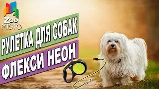 Рулетка для собак Флекси Неон | Обзор рулетки Флекси | Flexi Neon review