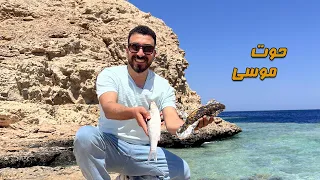معجزة حوت سيدنا موسى ومجمع البحرين في رأس محمد