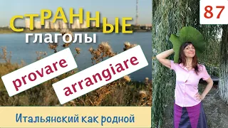 Что странного в глаголах provare и arrangiare – 87