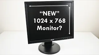 Native 1024x768 on 19" 1280x1024 LCD Monitor
