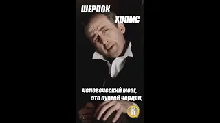 Шерлок Холмс: человеческий мозг это пустой чердак #shorts