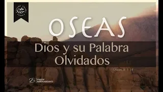 DIOS Y SU PALABRA OLVIDADOS (009 OSEAS 8:1-14)