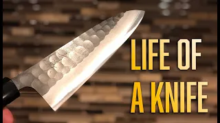 The Life of a Knife! Please stay around for the bonus footage!