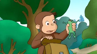 Ausflug | Coco der Neugierige | Cartoons für Kinder | WildBrain Deutsch