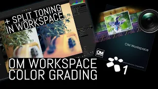 OM Workspace - Color Grading Expert Guide