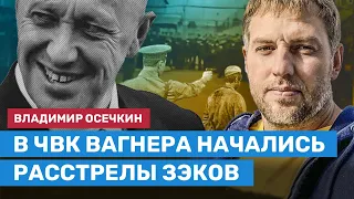 Осечкин: Завербованных Пригожиным в ЧВК зэков презирают даже на зоне