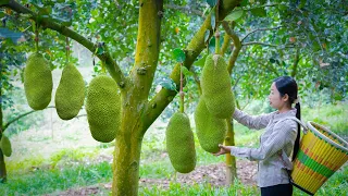 Amazing jackfruit! Used for fruit and Chinese food｜野小妹 wild girl