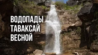 Природа Узбекистана: Весенний Таваксай