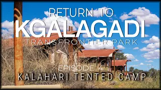 RETURN TO THE KGALAGADI - Episode 4 - Kalahari Tented Camp