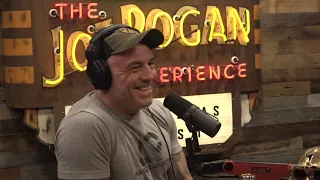 Joe Rogan | The Ocean Is A Fascinating And Terrifying Place | JRE 1879