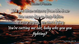 Shadow Preachers - Zella Day(Lyrics)