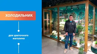 Холодильник для цветов Фурштадская 13