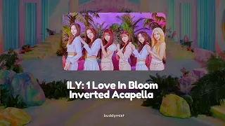 ILY: 1 - Love In Bloom Inverted Acapella