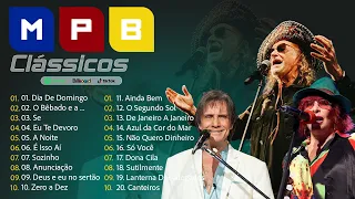 MPB Acústico Voz e Violao - Música Popular Brasileira Antigas - Tim Maia, Elis Regina, Djavan