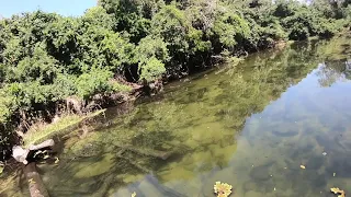 Lago Azul no Rio São Benedito com Rio Teles Pires MT/PA ( Pousada Pimenta Fishing )