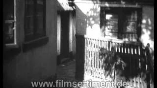 Deutsche Geschichte: ZEITREISEN - DIE DEUTSCHEN 1918 - 1929 (DVD / Vorschau)
