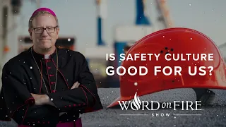 Is Safety Culture Good for Us? | Bishop Robert Barron new